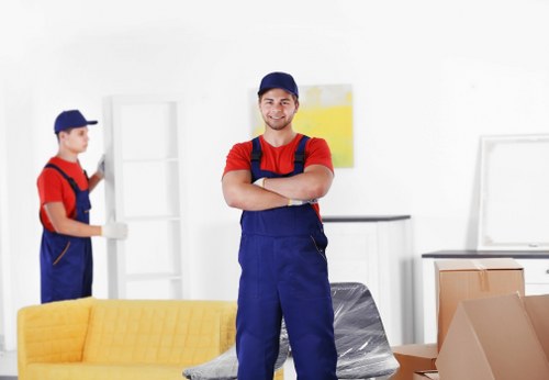 Image representing accessible Shepherdsbush Man And Van web content